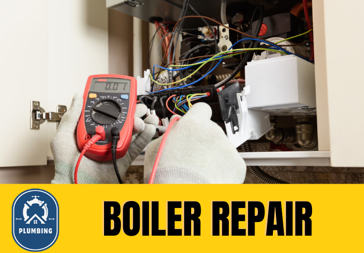 boiler repair Belvedere