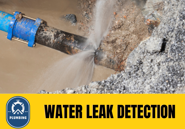 leak detection Belvedere